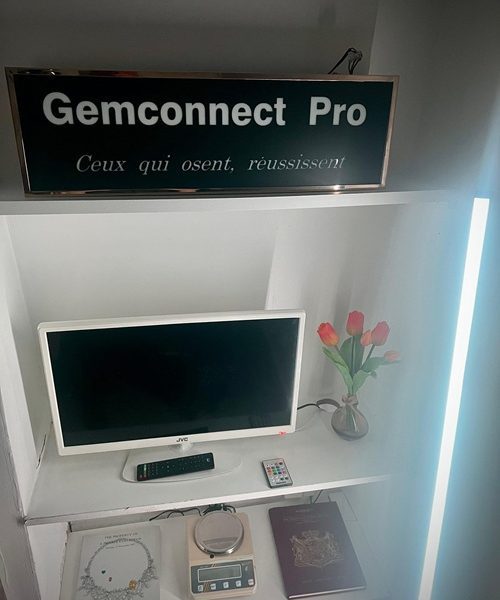 Location d’espace de travail – Bureau gemmologie ou négoce